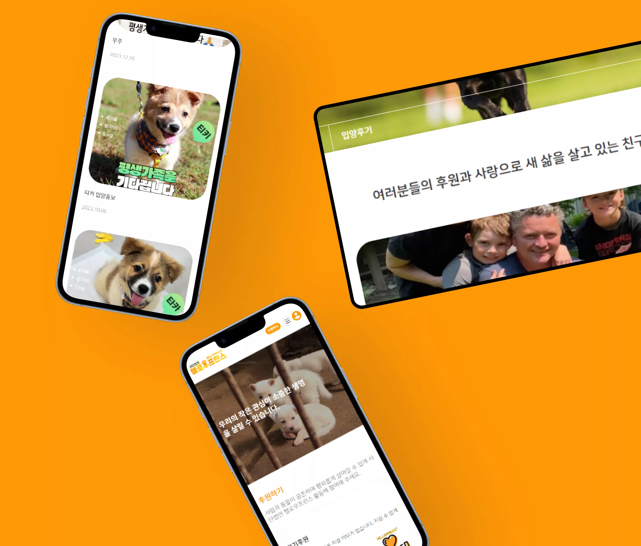 헬로우프린스 동물보호협회