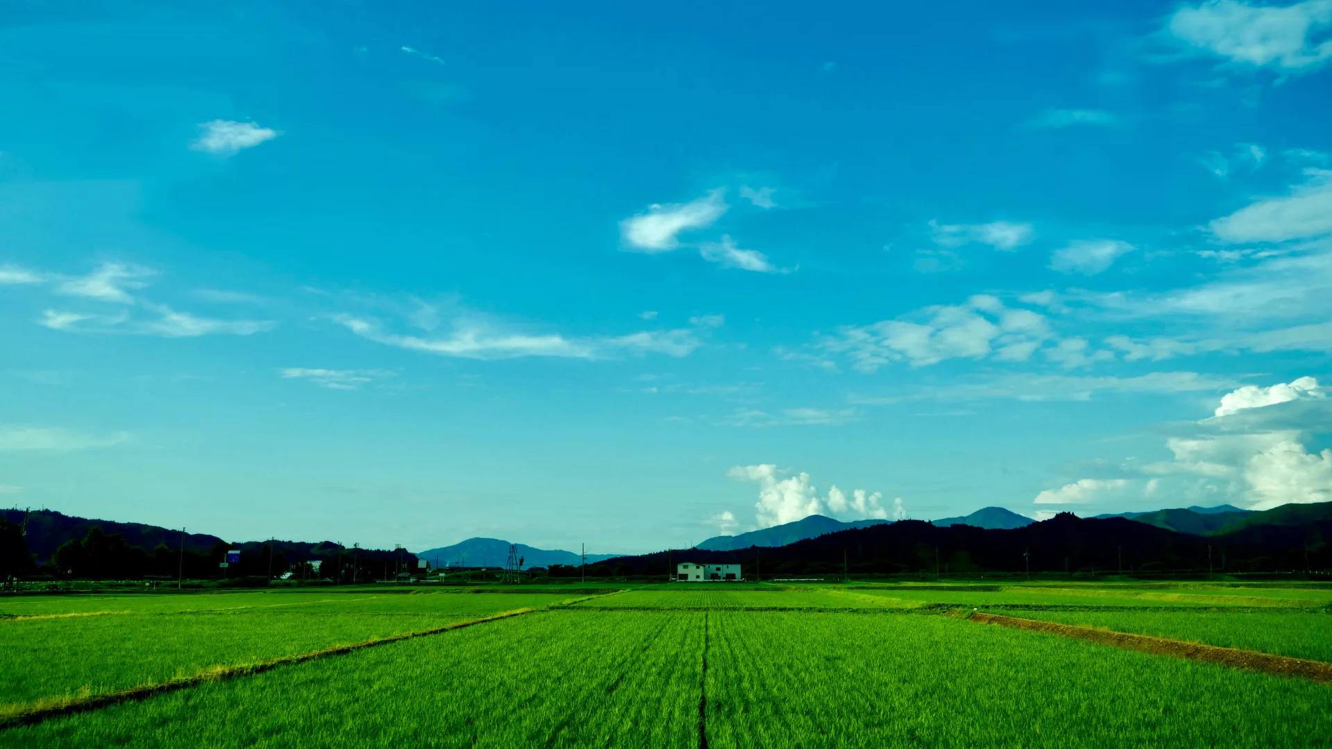 명장