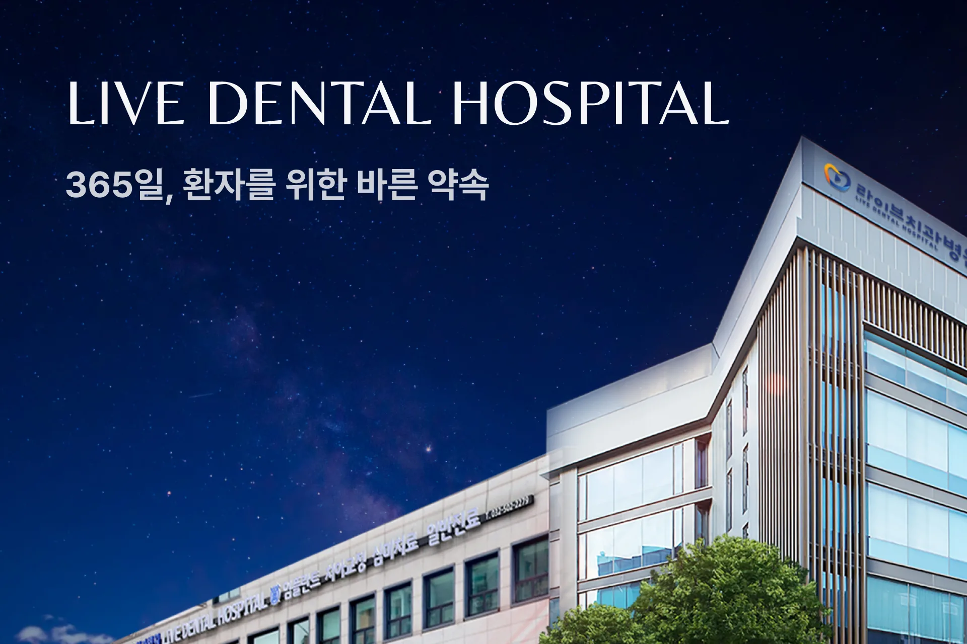 라이브치과