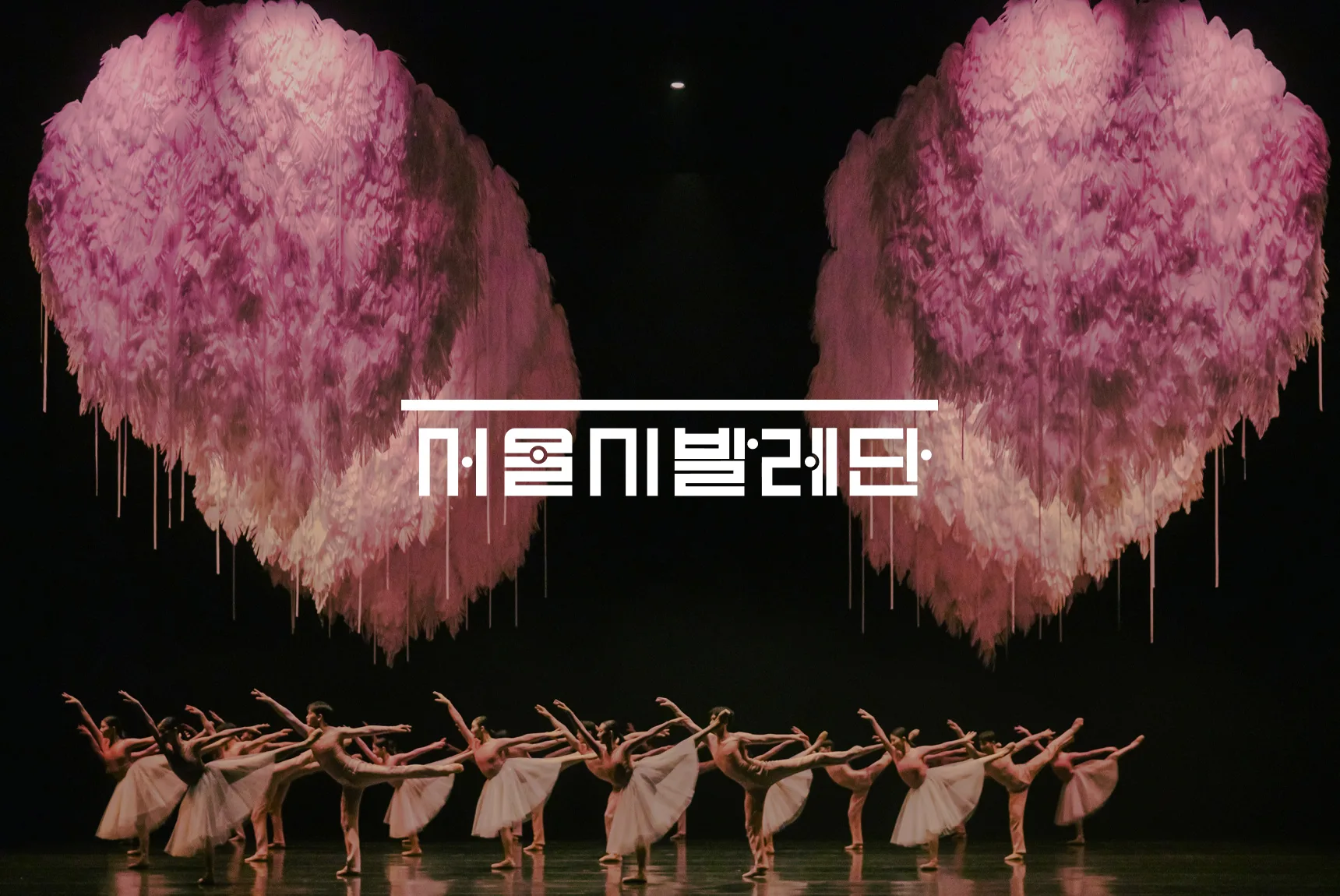 세종문화회관 서울시발레단